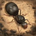 The Ants Underground Kingdom Mod Apk (Unlimited Money)